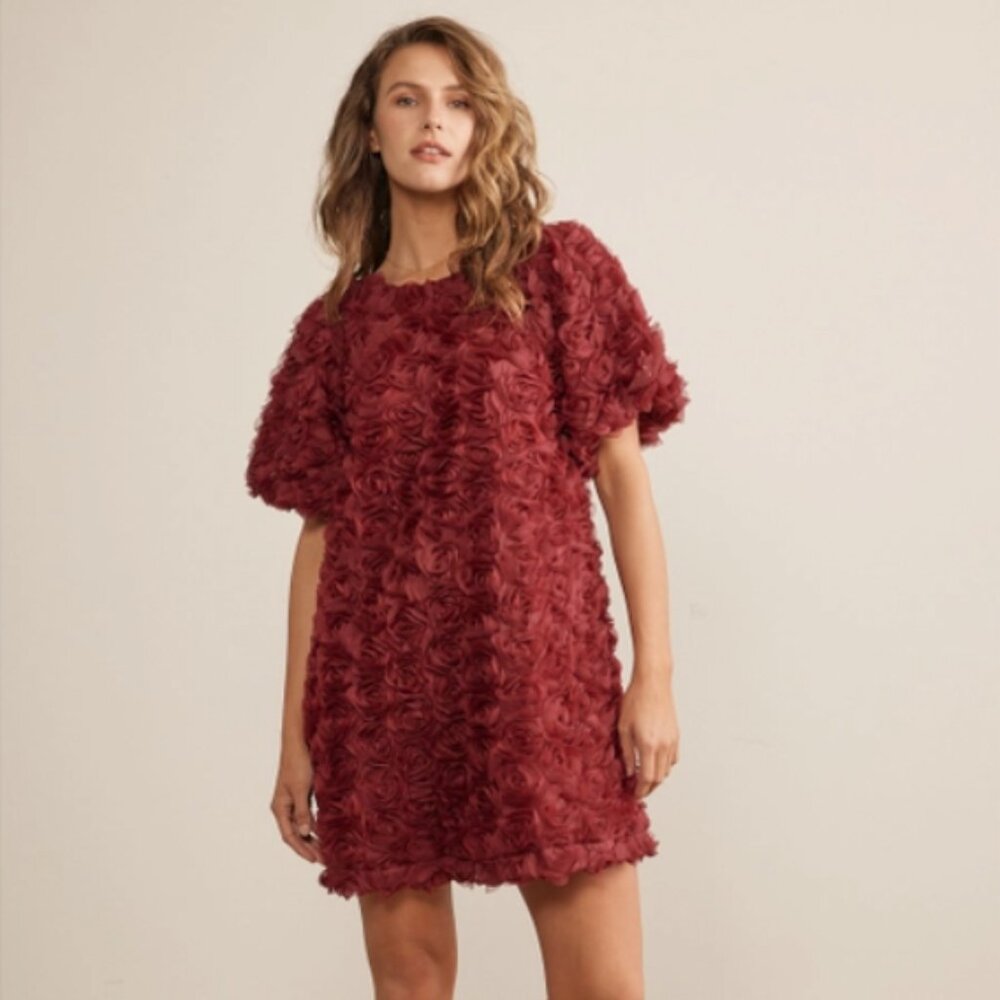 NWT In February 3D Rose Dress/Tunic - Size S